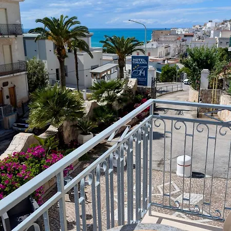 Apartmán Timiama & *
